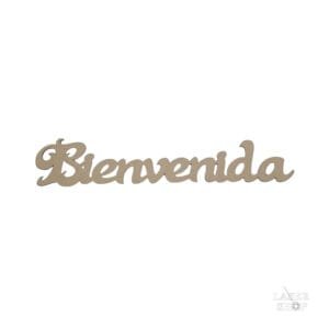 Cartel Bienvenida